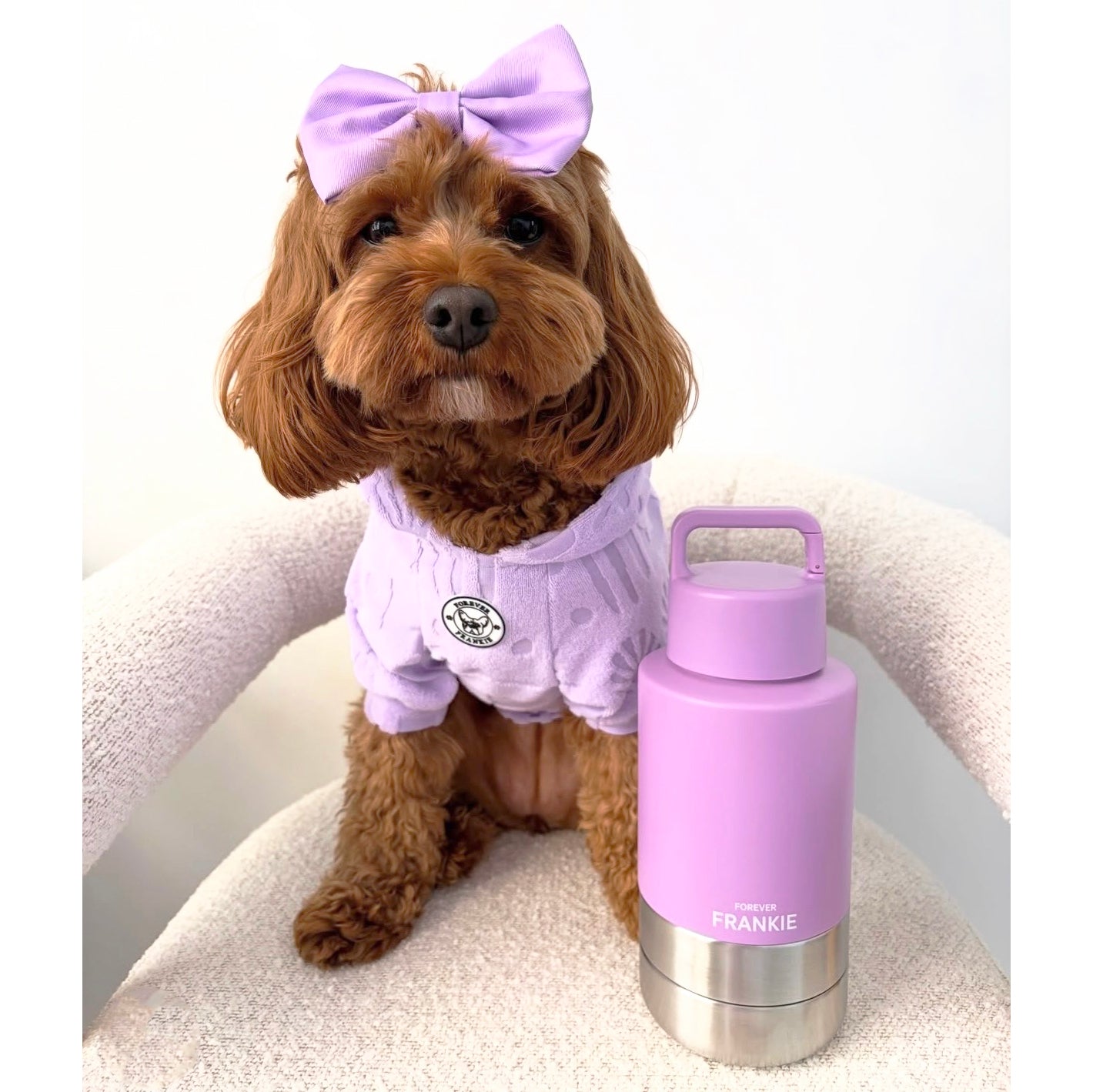 Lavender Portable Human / Dog Stainless Steel Adventure Drink Bottles