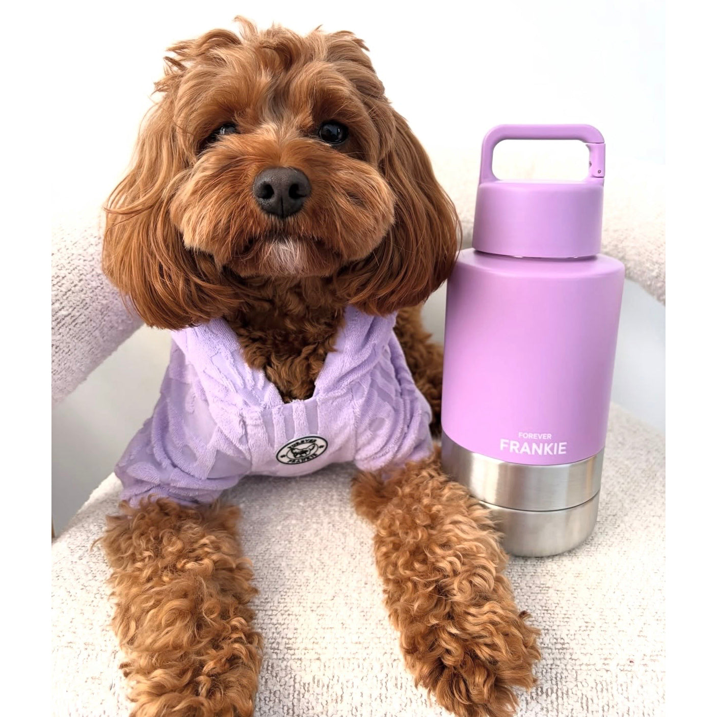 Lavender Portable Human / Dog Stainless Steel Adventure Drink Bottles