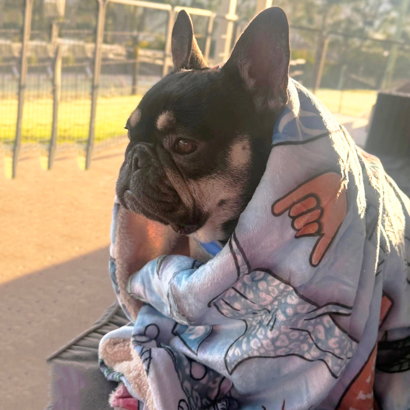 Surfs Up - Extra Soft Pet Blanket