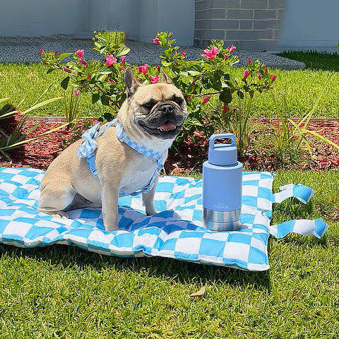 Sky Blue Check - Adventure Mat