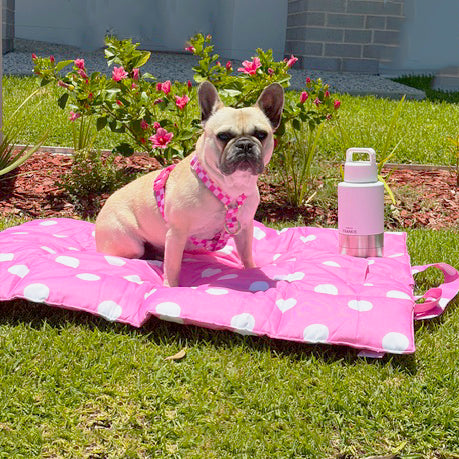 Classic Pink Spot - Adventure Mat