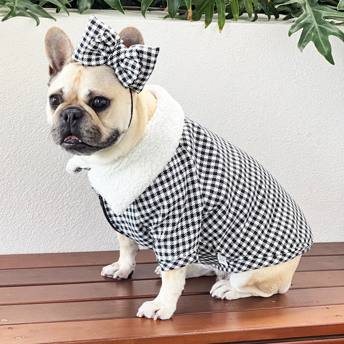 Black Gingham - Dog Jacket  with a Zip