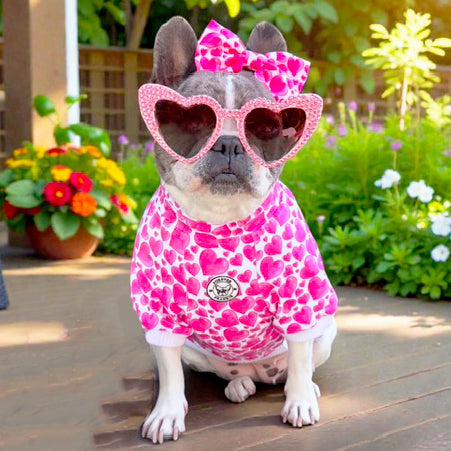 Sweethearts Dog Skivvy