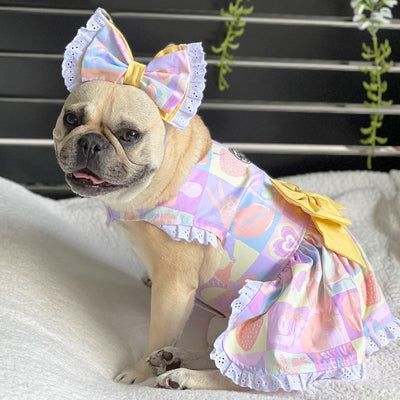 Tutti Frutti Surprise - Ruffles Dog Dress with bow (Limited Edition)