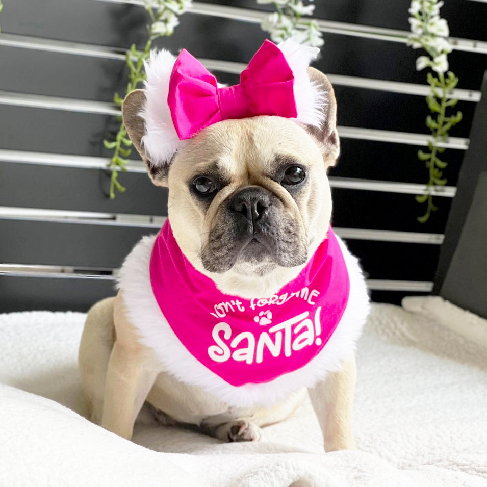 'Don't forget me Santa' Bandana - Pink