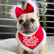 'Santa Paws is coming to Town' Bandana - Red-MEDIUM