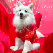 Pomegranate Lace - Luxe Dog Skivvy