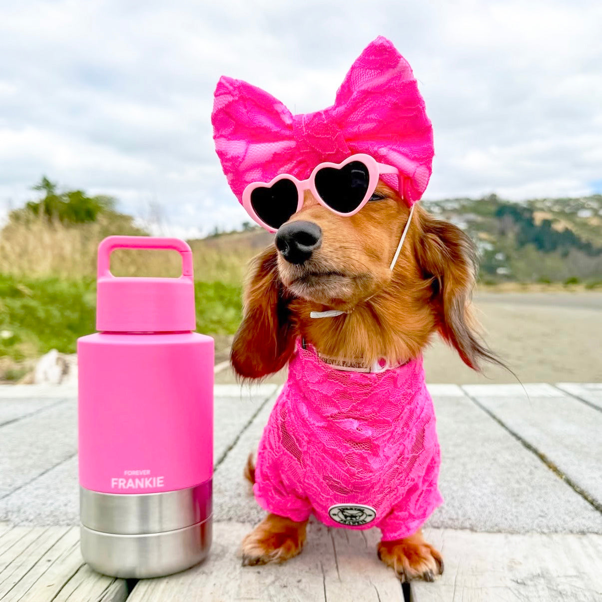 Hot Pink Portable Human / Dog Stainless Steel Adventure Drink Bottles