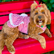 Lipstick Red Gingham Ruffles Dog Dress with bow-SMALL