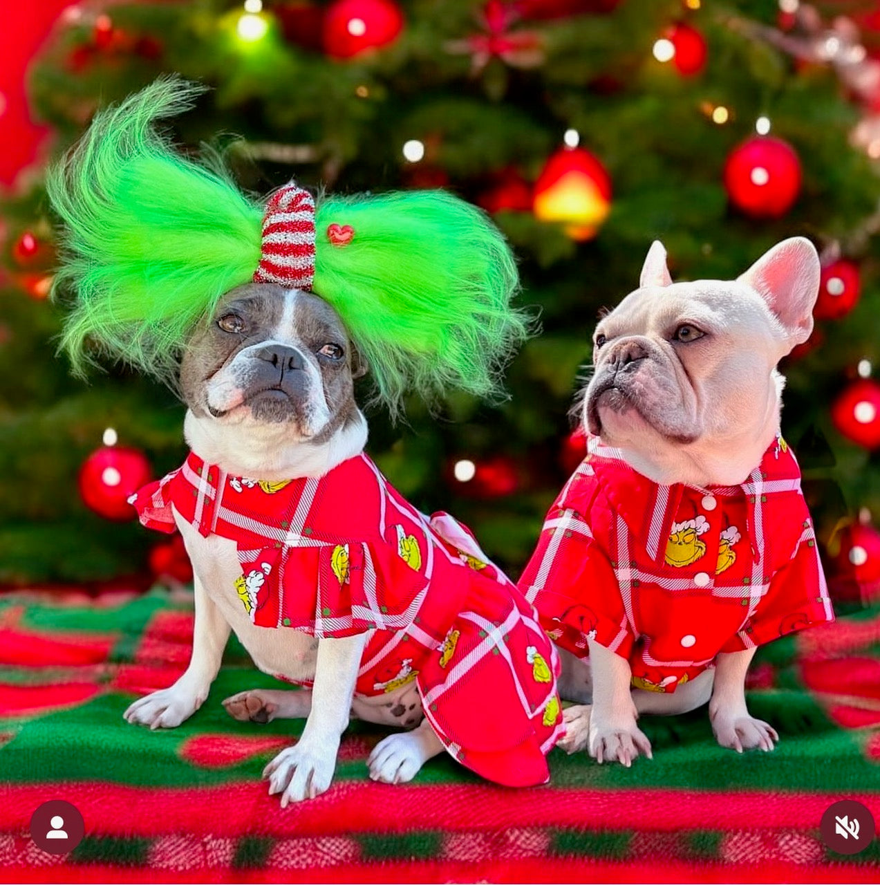 Christmas Grump - (Limited Edition) Party Shirt