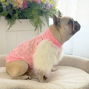 LUXE- Bubblegum Lace with Fur - Dog Skivvy