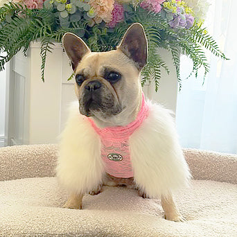 LUXE- Bubblegum Lace with Fur - Dog Skivvy
