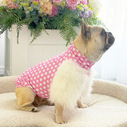 LUXE - Classic Pink Spotty- Dog Skivvie end of line