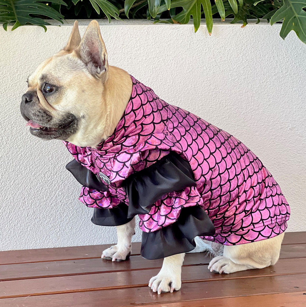 Deluxe Flamenco Flamingo (Tiered Ruffle Sleeve) Dog Clothing