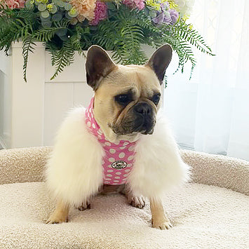 LUXE - Classic Pink Spotty- Dog Skivvie end of line