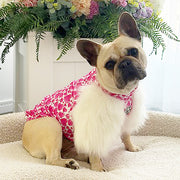 LUXE - Sweethearts - Dog Skivvie (Limited Edition)