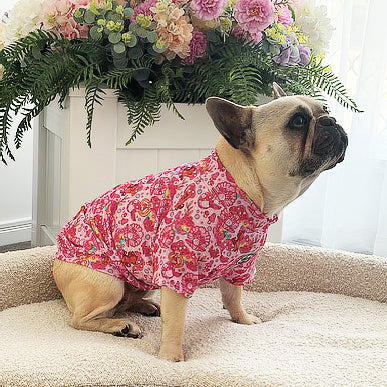 Blossom Belle - Sun & Sand Rashie UV 50+