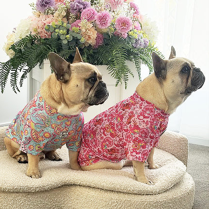 Blossom Belle - Sun & Sand Rashie UV 50+