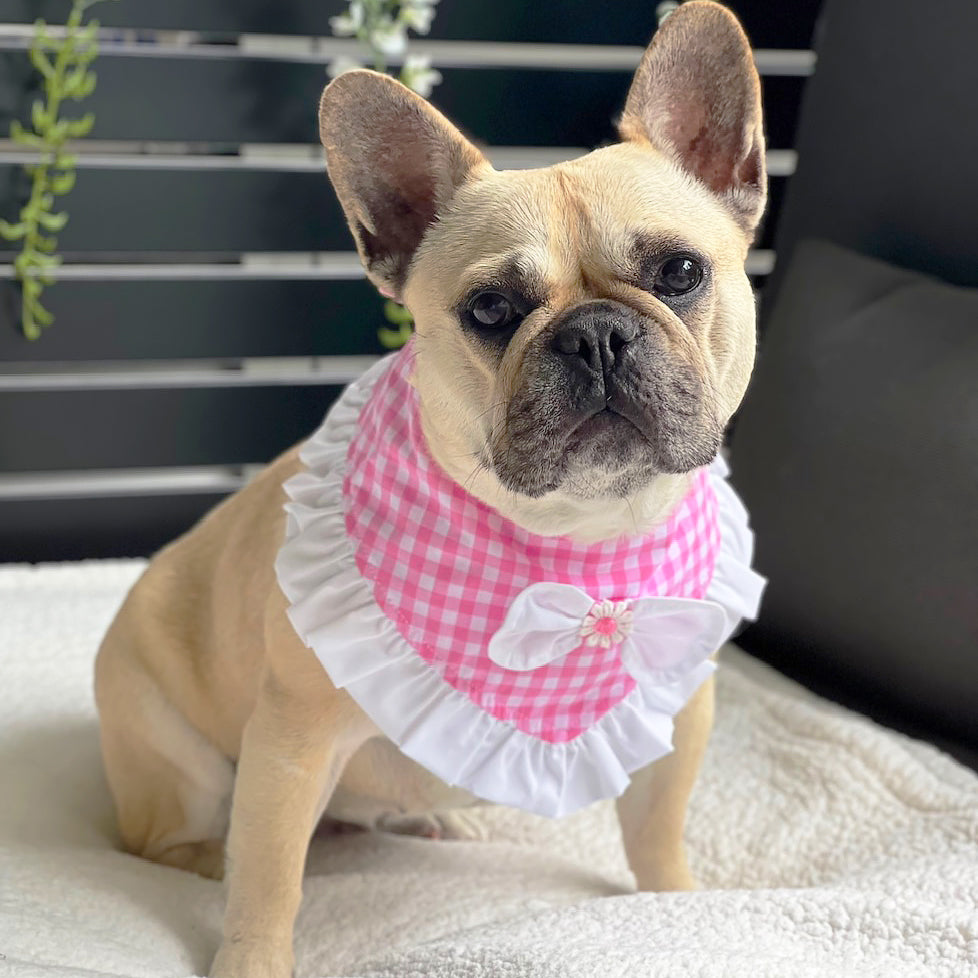 Pink Gingham Bandana-LARGE