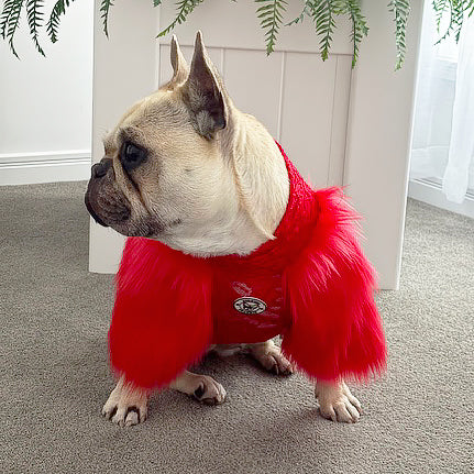 LUXE- - Pomegranate Lace with Red Fur - Dog Skivvy