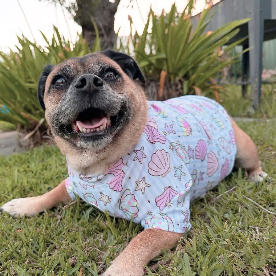 Summer Shells- Sun & Sand Rashie UV 50+