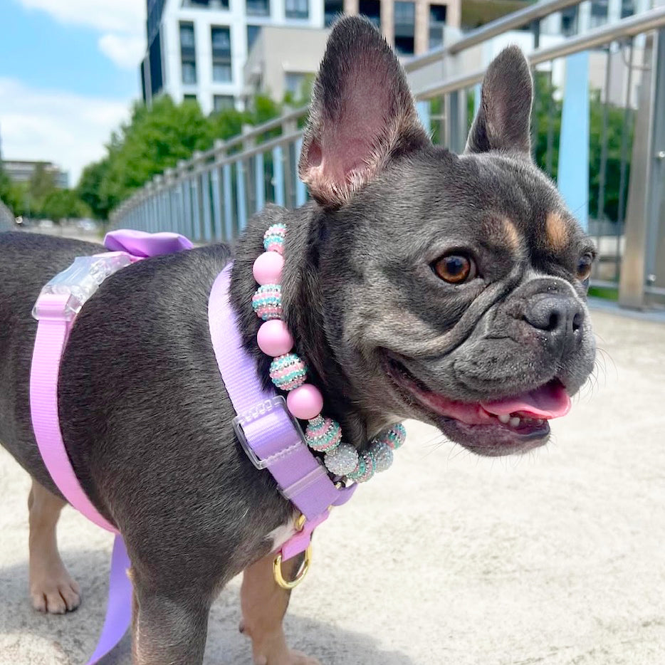 Pastel Pink / Lavender - Luxe Strap Harness