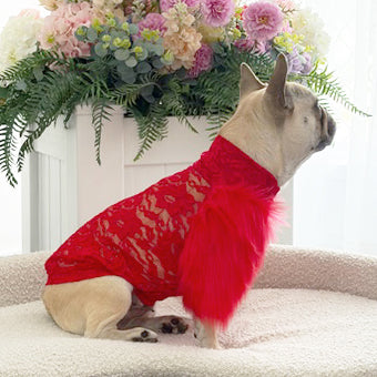 LUXE- - Pomegranate Lace with Red Fur - Dog Skivvy