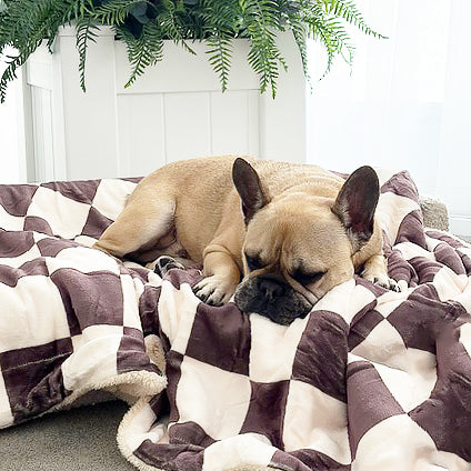 Cocoa Check - Extra Soft Pet Blanket