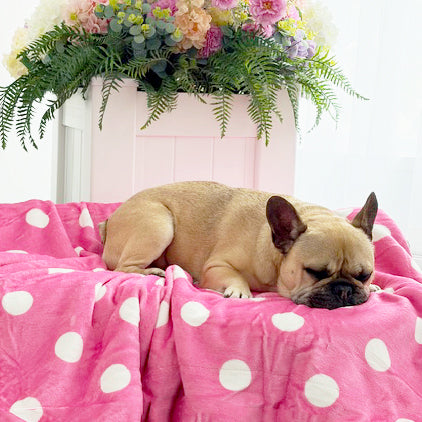 Extra Soft Pet Blanket