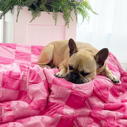 Extra Soft Pet Blanket