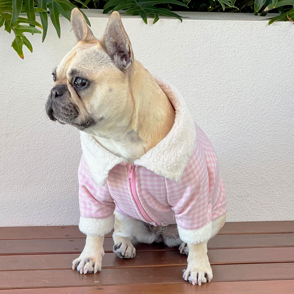 Pink Gingham - Dog Jacket  with a Zip