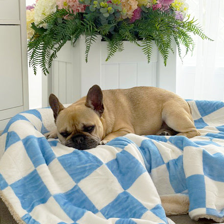 Blue Check - Extra Soft Pet Blanket