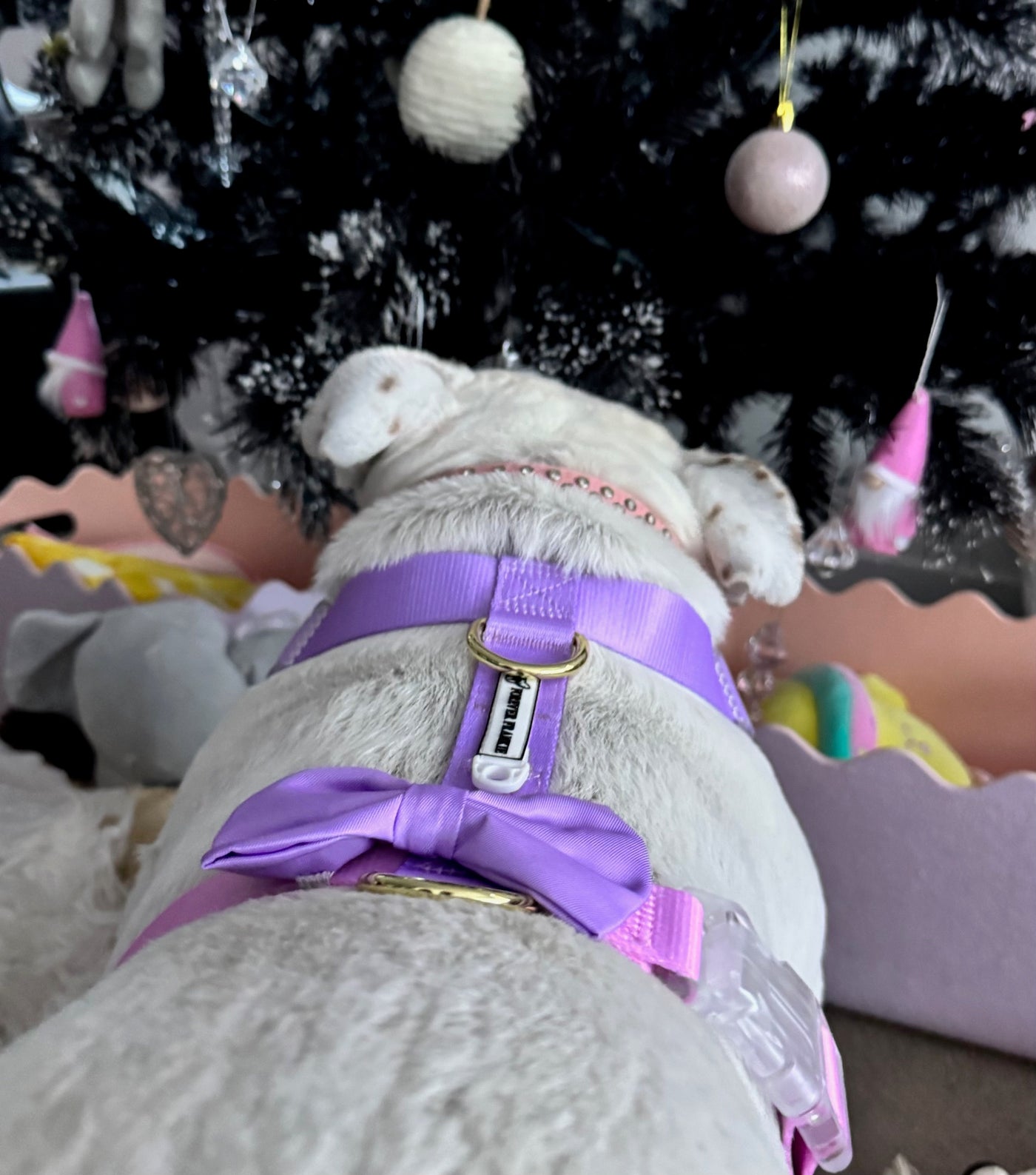 Pastel Pink / Lavender - Luxe Strap Harness