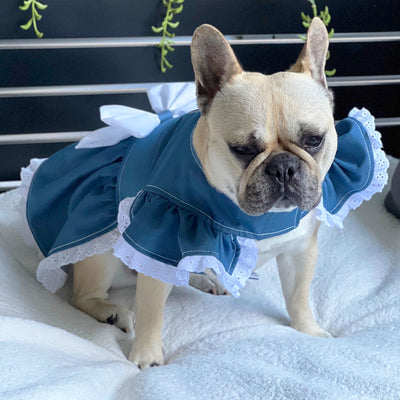 Denim & Lace - Ruffles Dog Dress with bow (Limited Edition)