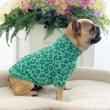 Wild Mint - Dog Skivvy