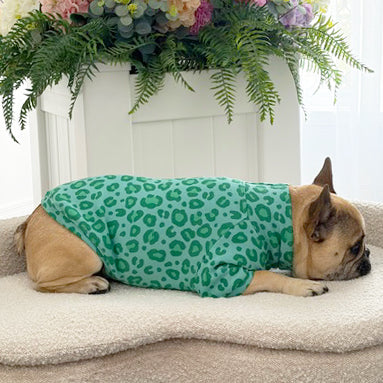 Wild Mint - Dog Skivvy