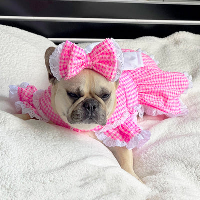 Seersucker Candy Serenade - Ruffles Dog Dress with bow (Limited Edition)