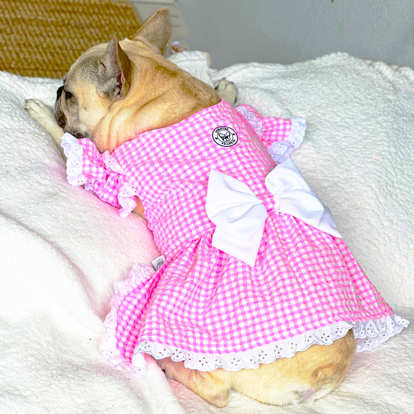 Seersucker Candy Serenade - Ruffles Dog Dress with bow (Limited Edition)