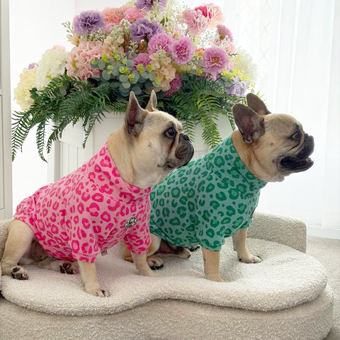 Wild Mint - Dog Skivvy