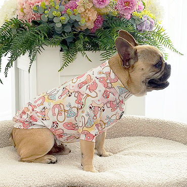 Boot Skootin' - Dog Skivvy  (Limited stock)