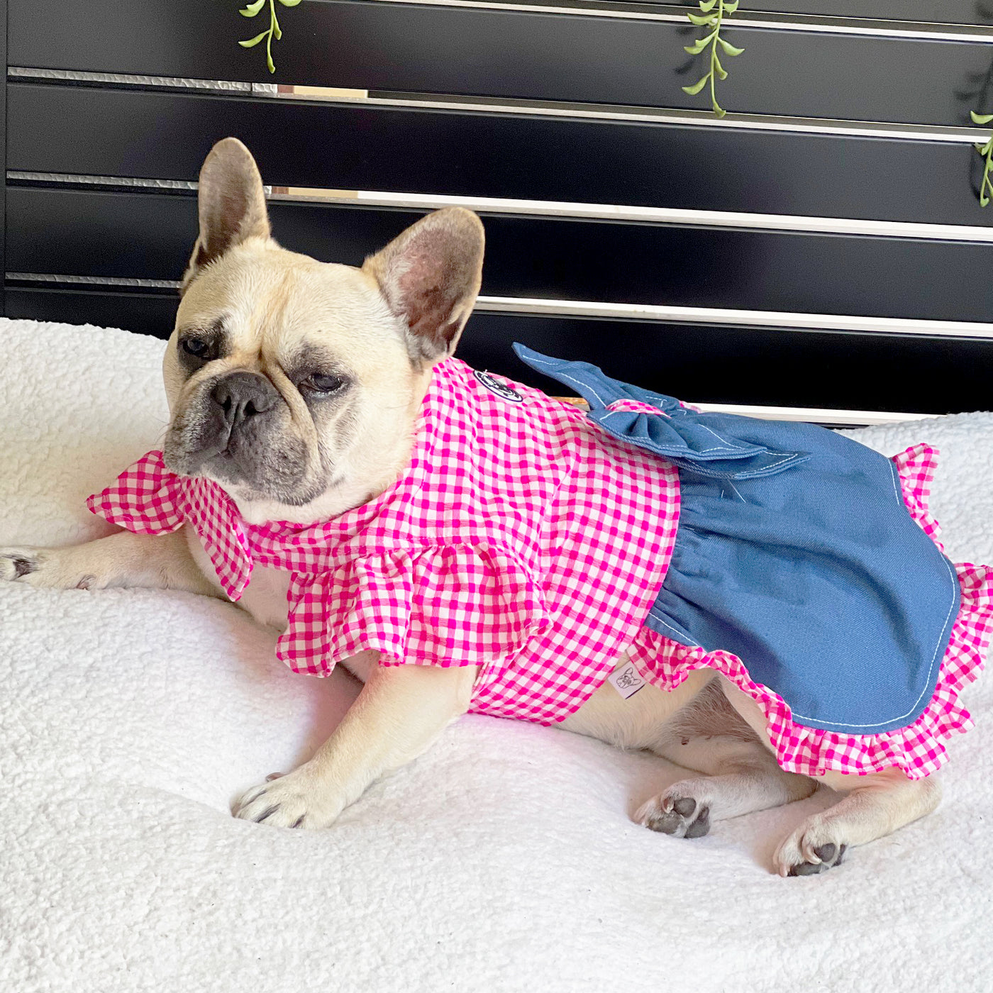 Denim & Fuschia Pink Gingham - Ruffles Dog Dress with bow (Limited Edition)