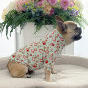 Strawberry Whispers - Dog Skivvy (Limited stock)