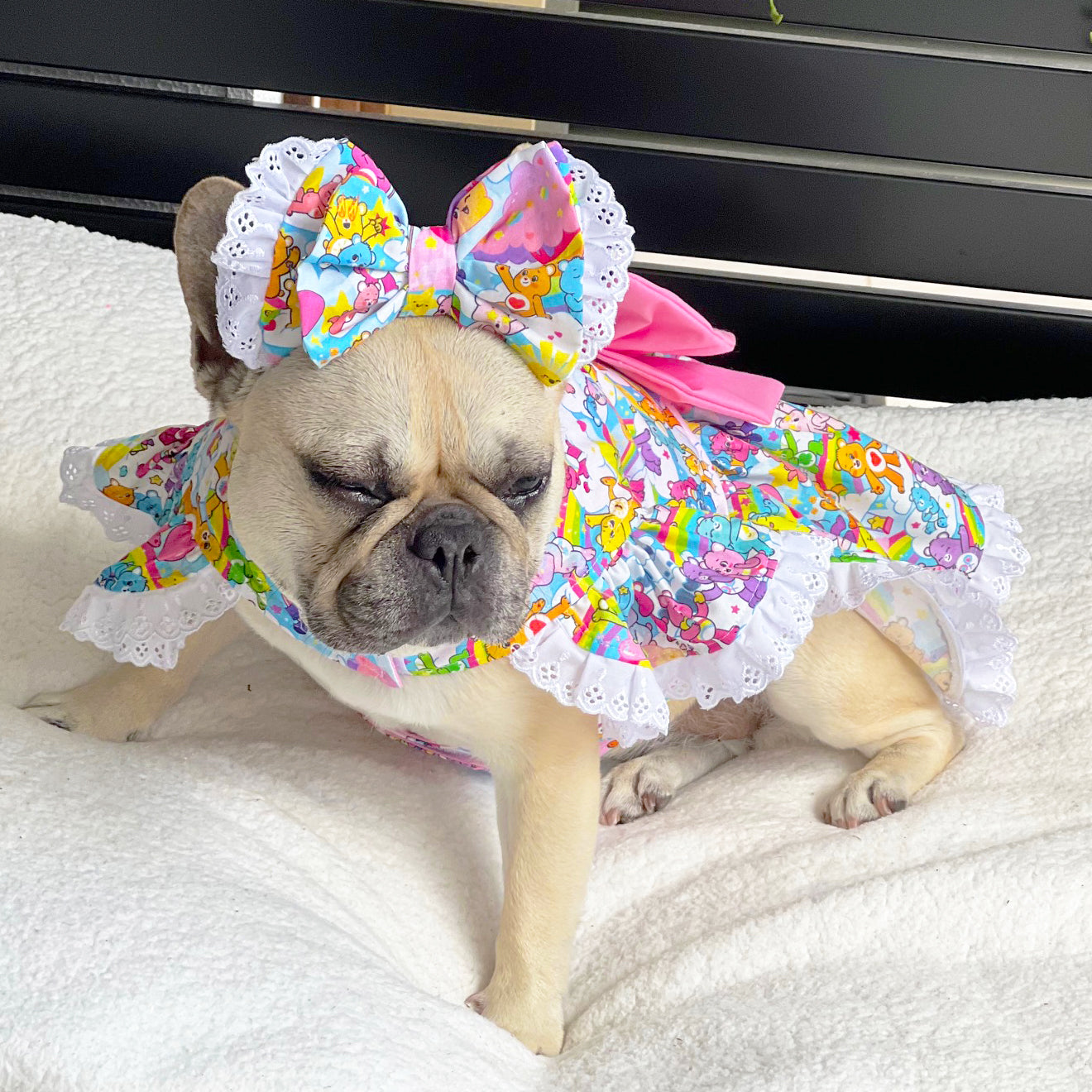 Hug me Wonderland - Ruffles Dog Dress with bow (Limited Edition)