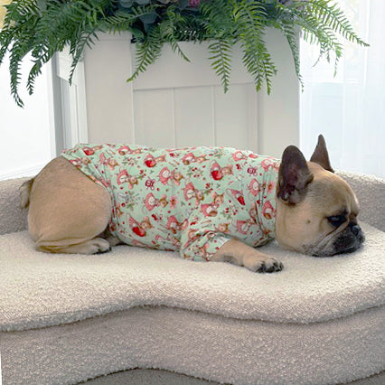 Strawberry Whispers - Dog Skivvy (Limited stock)