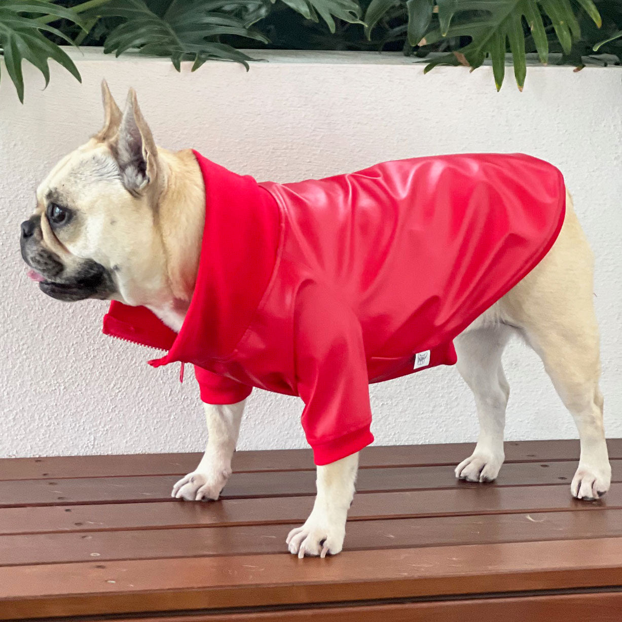 Leader of the Pack Dog Faux Red Leather Jacket   (Limited Edition)
