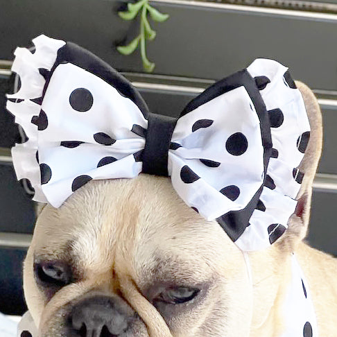 Polka Dot Twist - Head Bow only!!
