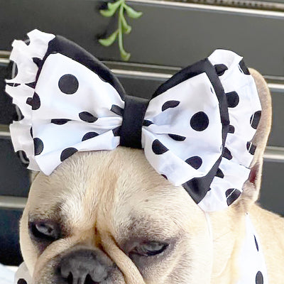 Polka Dot Twist - Head Bow (Limited Edition)