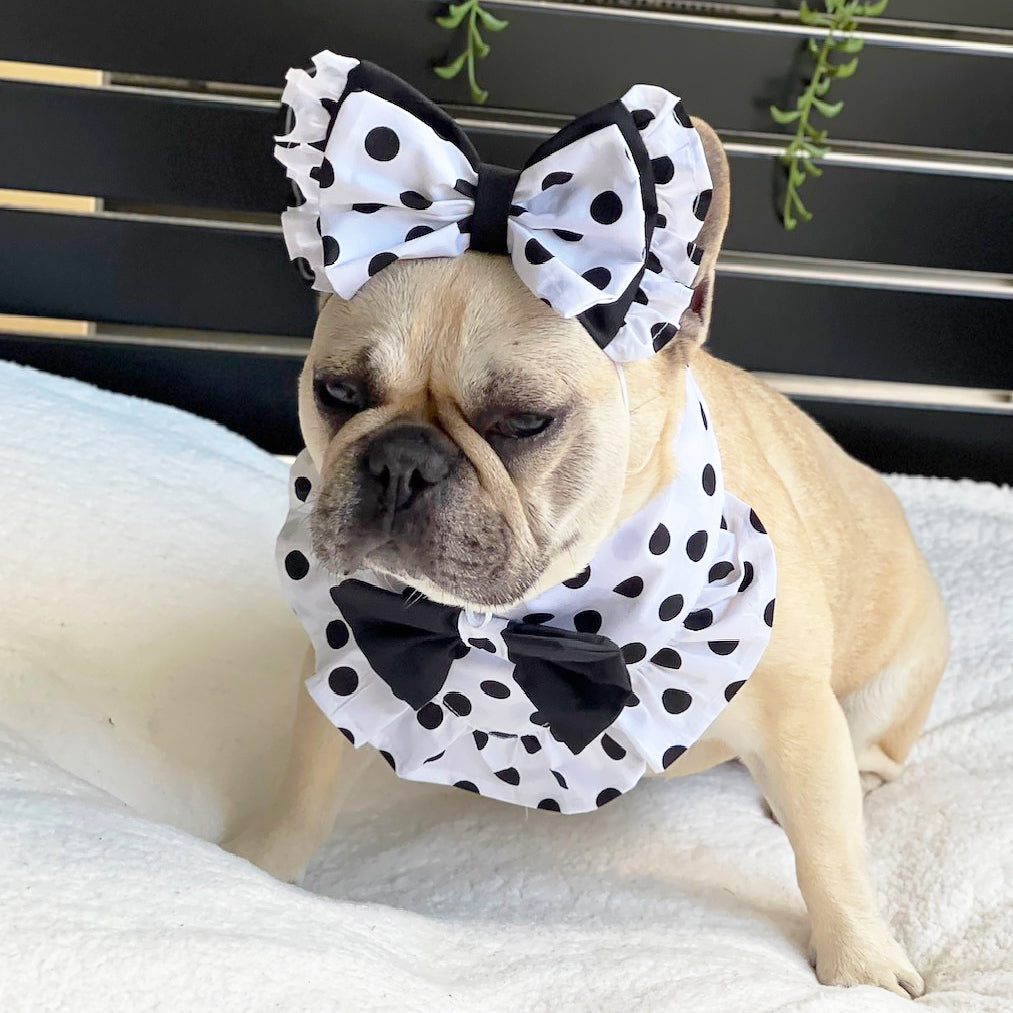 Polka Dot Twist - Head Bow only!!