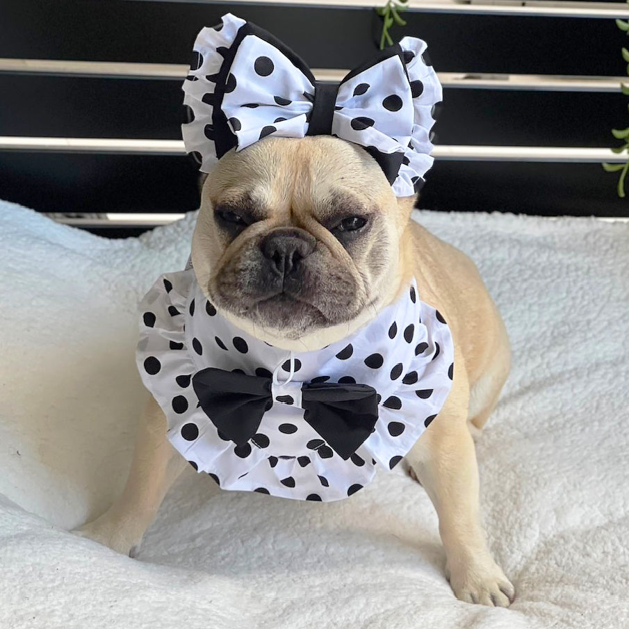 Polka Dot Twist Bandana