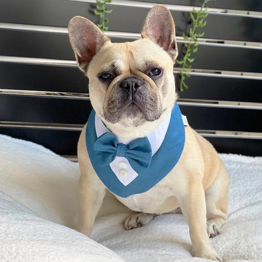 Denim and Dapper Bandana